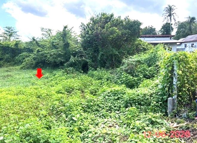 picture LAND 231 Sq.w. Ruso Narathiwat for 3.7M - 8/24