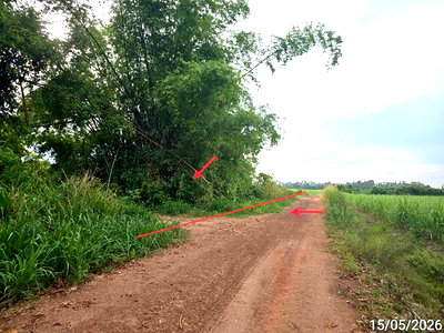 Land for sale Bang Krathum Phitsanulok : LAND 6305 Sq.w. Bang Krathum Phitsanulok for 1.4M