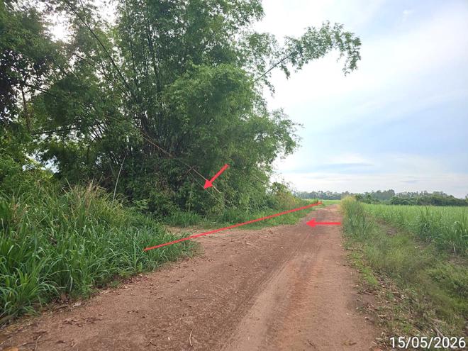 รูป ที่ดินว่างเปล่า 6305 ตร.วา บางกระทุ่ม พิษณุโลก 1.9M - รูปที่ 1/14