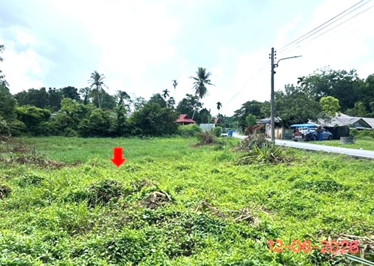 picture LAND 231 Sq.w. Ruso Narathiwat for 3.7M - 15/24