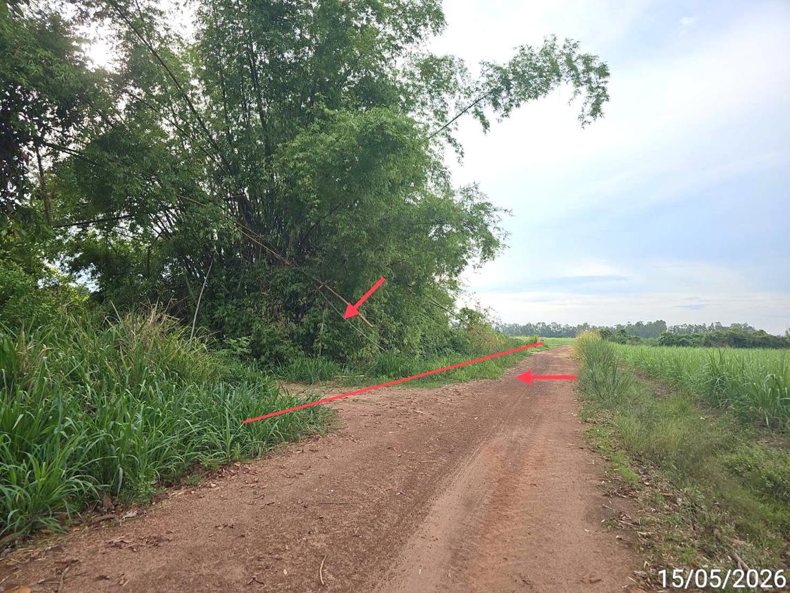 รูป ที่ดินว่างเปล่า 6305 ตร.วา บางกระทุ่ม พิษณุโลก 1.9M - รูปที่ 6/14