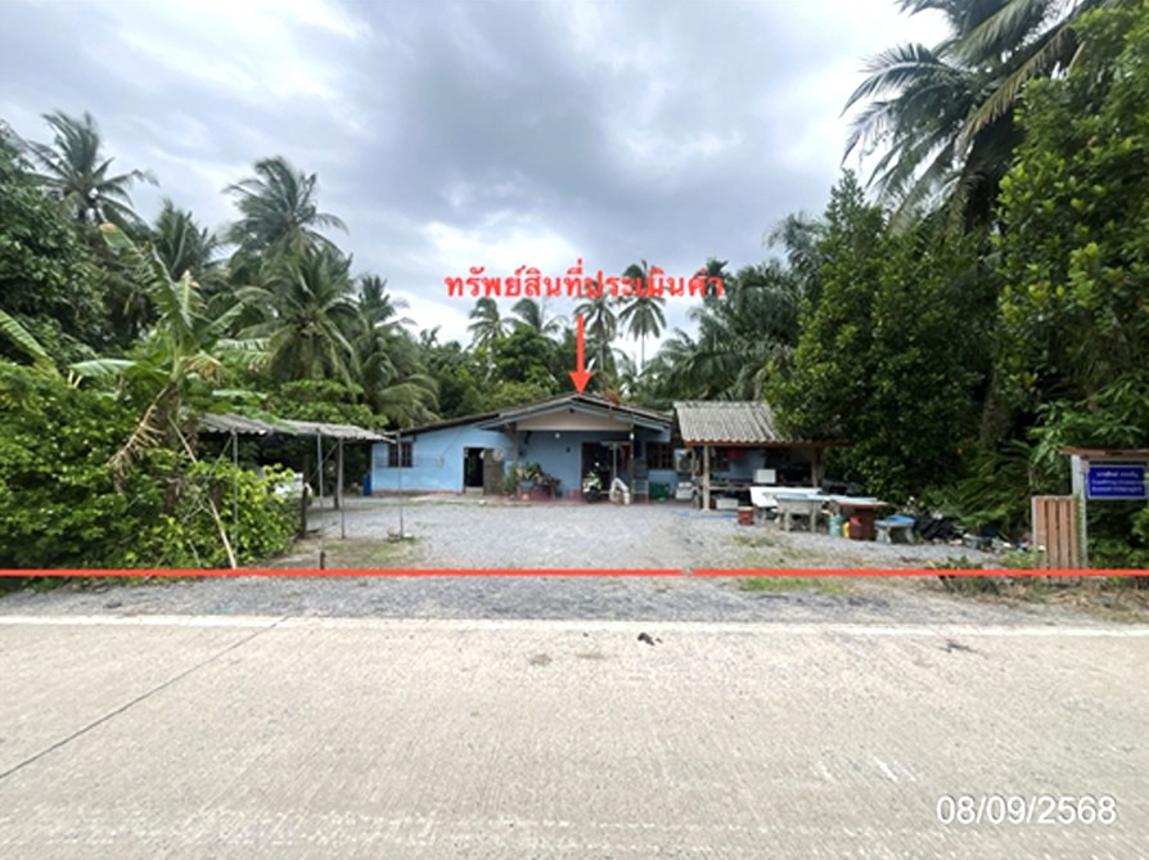 รูป บ้านเดี่ยว 320 ตร.วา ดอนสัก สุราษฎร์ธานี 1.5M - รูปที่ 7/16