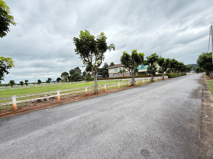 รูป ที่ดินหมูสี เขาใหญ่ สังคมหรู วิวเขา หลวงปู่ทวด ใกล้น้ำผุดท่าช้าง2km. - รูปที่ 21/22