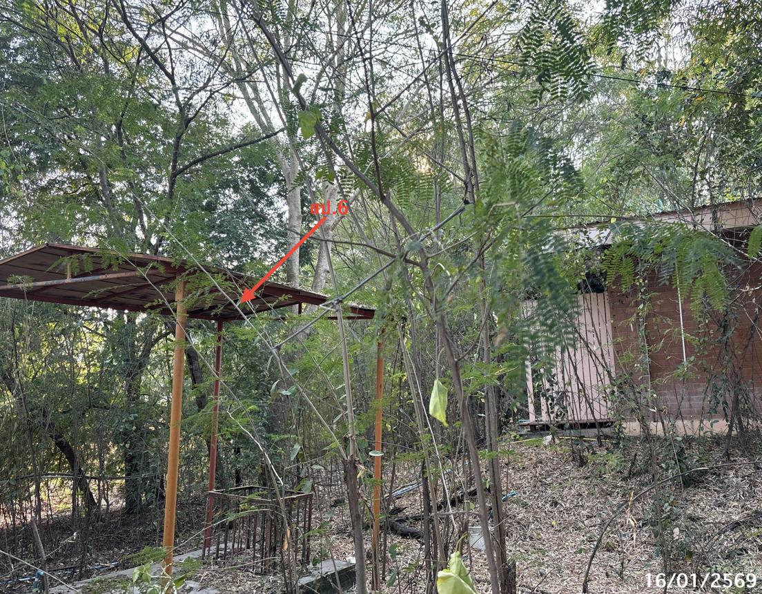 picture HOME 1200 Sq.w. Ban Mi Lopburi for 4.9M - 10/18