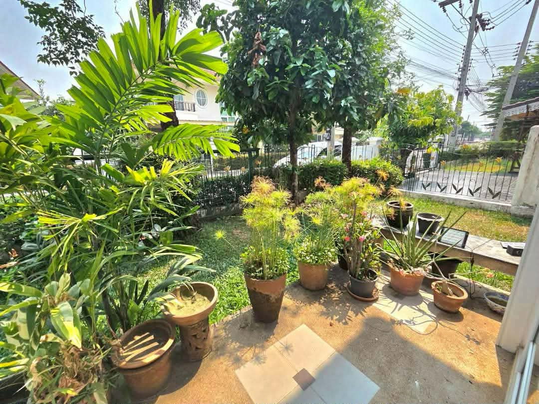 รูป 🏡 ให้เช่าบ้านเดี่ยว หลังใหญ่ พร้อมสวน ในโครงการคุณภาพ ติดถนนวงแหวนรอบ 2 ใกล้โรงเรียนนานาชาติ พร้อมเฟอร์นิเจอร์ครบ ทำเลดีมาก เดินทางสะดวก - รูปที่ 11/11