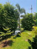 listing thumbnail image 5