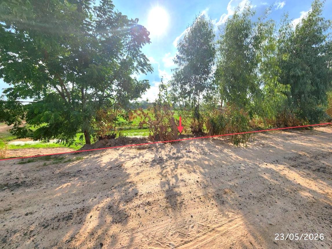 picture LAND 2647 Sq.w. Phayakkhaphum Phisai Maha Sarakham for 1.3M - 10/22