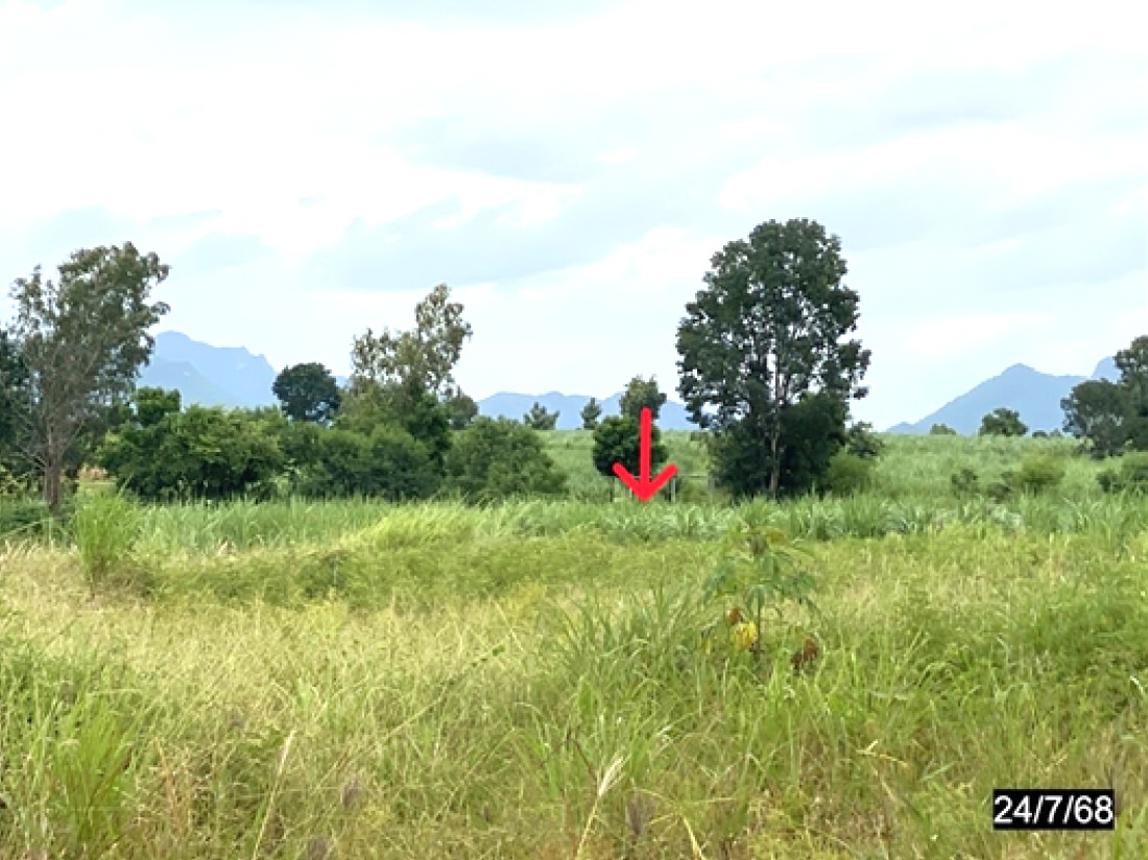 picture LAND 4569 Sq.w. Si Chomphu Khon Kaen for 1.6M - 8/12