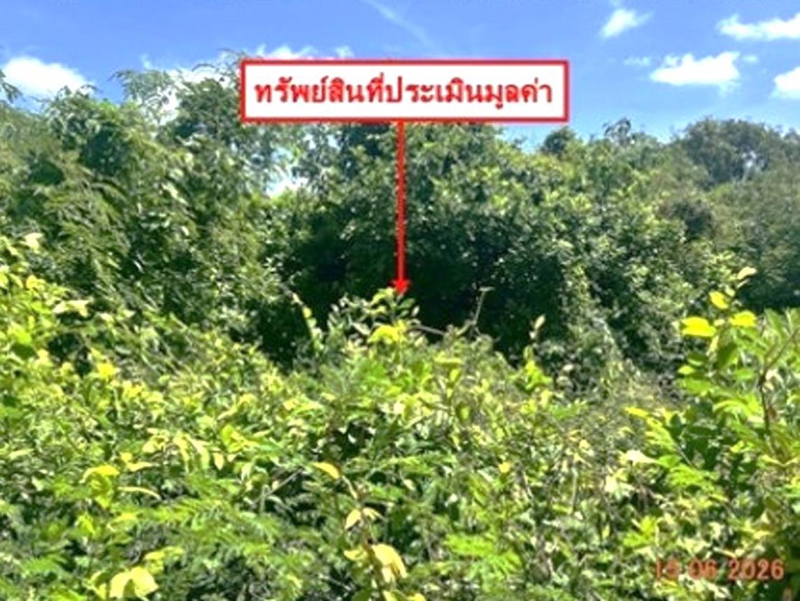 picture LAND 907 Sq.w. Bang Krathum Phitsanulok for 4.5M - 16/22