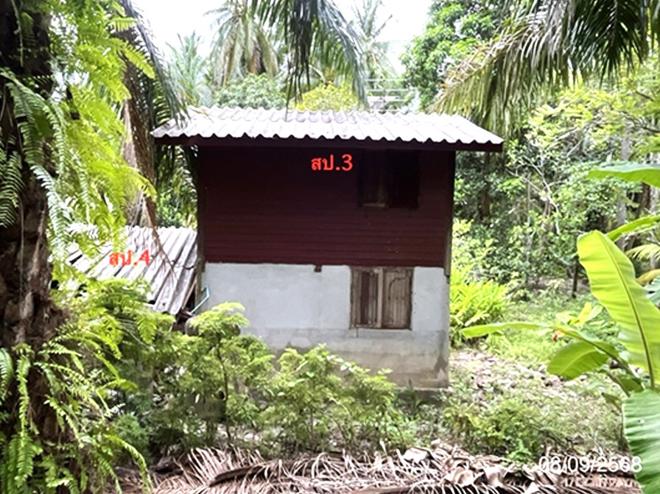 รูป บ้านเดี่ยว 320 ตร.วา ดอนสัก สุราษฎร์ธานี 1.5M - รูปที่ 4/16