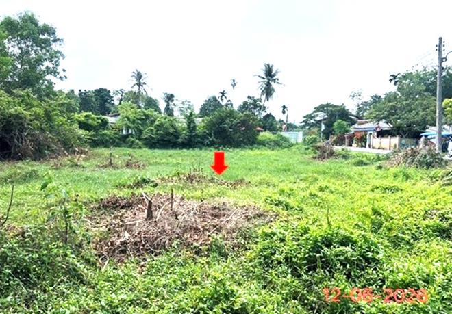 picture LAND 231 Sq.w. Ruso Narathiwat for 3.7M - 9/24