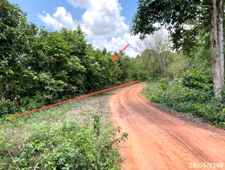 picture LAND 1002 Sq.w. Sawang Weerawong Ubon Ratchathani for 2M - 11/14