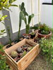 listing thumbnail image 3