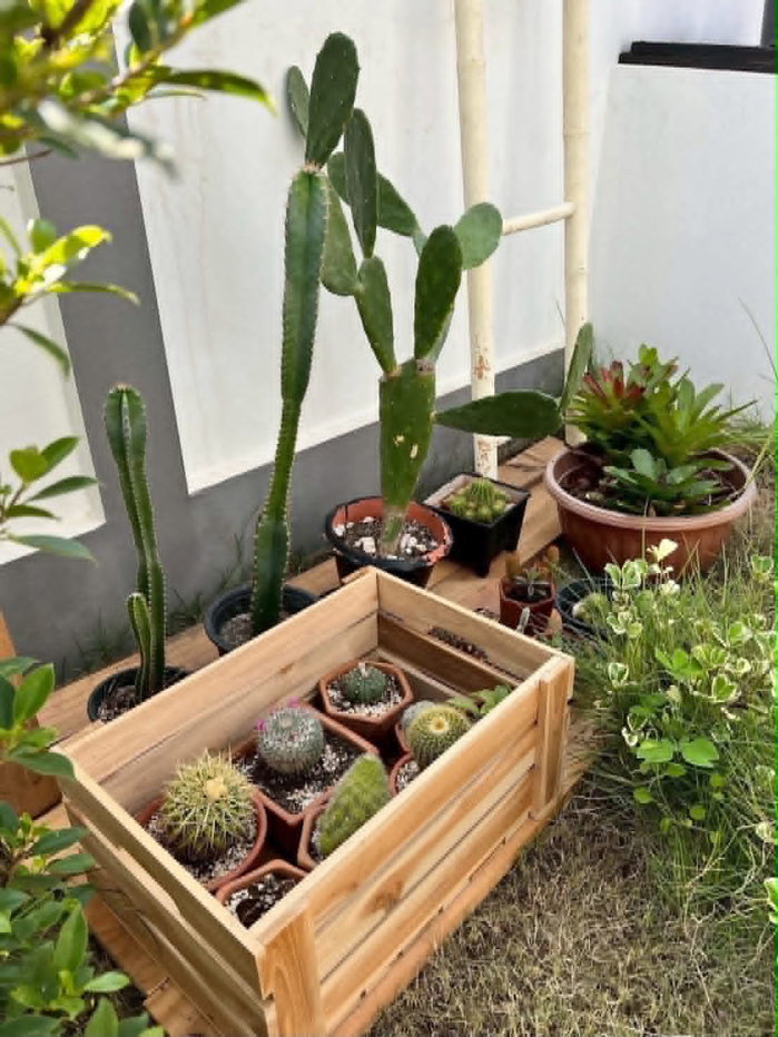 รูป 🎏ขายบ้านพร้อมอยู่ ชั้นเดียว สไตล์นอร์ดิก มินิมอล​​ พิกัด: หนองแก๋ว อ.หางดง จ.เชียงใหม่ - รูปที่ 4/18