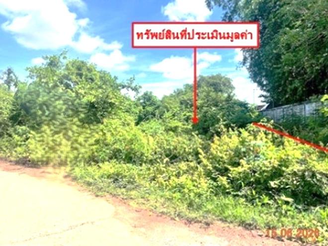 picture LAND 907 Sq.w. Bang Krathum Phitsanulok for 4.5M - 6/22