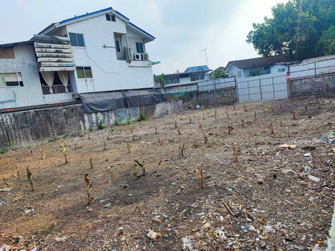 LTHC15827 – Land for Sale Udomsuk | Soi Udomsuk 42 | Bangna-Trad 1 | Near BTS Udom Suk | 8.316 MB | ที่ดินขาย อุดมสุข ซอยอุดมสุข 42 บางนา-ตราด 1 ใกล้ BTS อุดมสุข