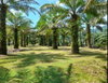 listing thumbnail image 2