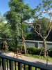 listing thumbnail image 18