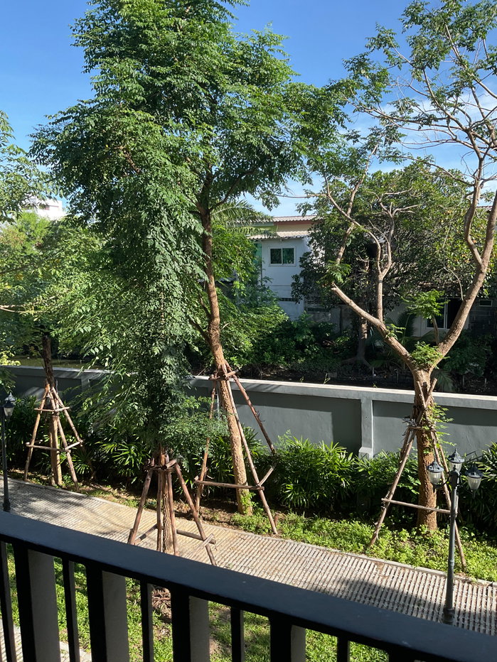 รูป พร้อมอยู่🌿🌿ซีรอคโค บางนา 36🌿🌿อยู่ตรงข้าม เซ็นทรัลบางนา , BigC  - รูปที่ 19/19