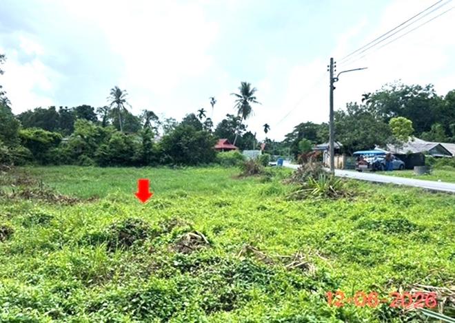 picture LAND 231 Sq.w. Ruso Narathiwat for 3.7M - 5/24