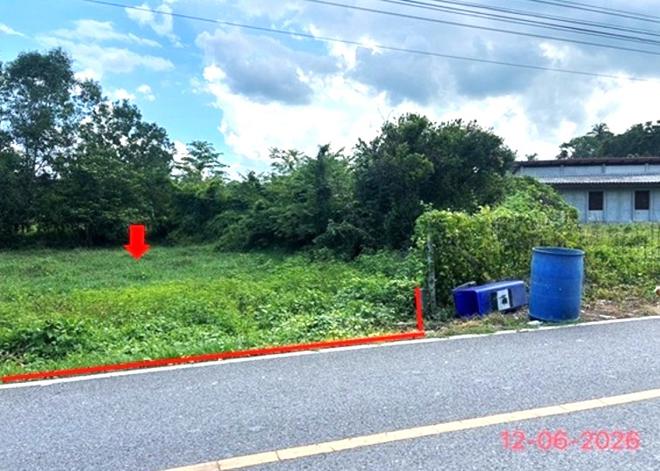 picture LAND 231 Sq.w. Ruso Narathiwat for 3.7M - 3/24