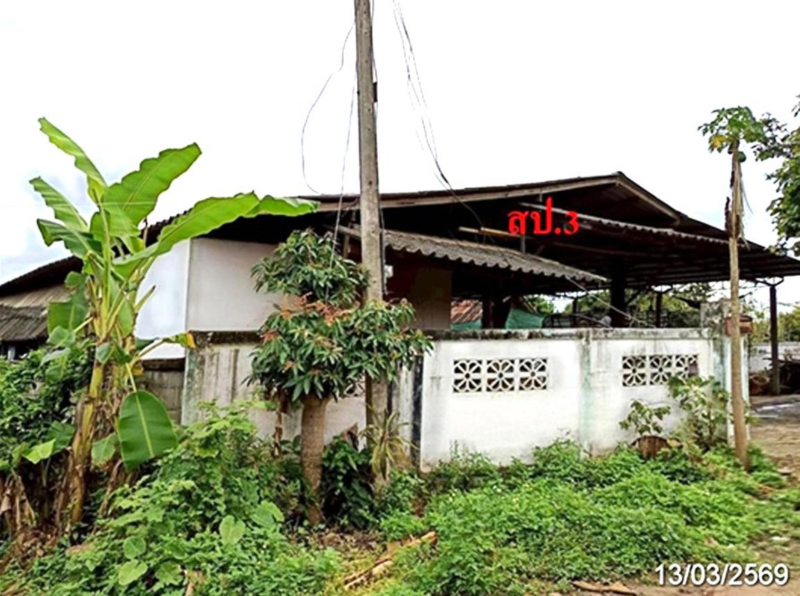 picture HOME 787.1 Sq.w. Fang Chiang Mai for 3M - 11/18