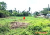 listing thumbnail image 18