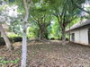 listing thumbnail image 26