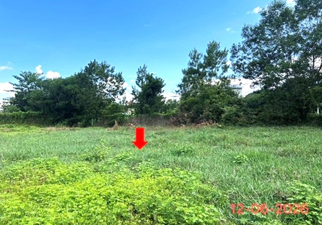 picture LAND 231 Sq.w. Ruso Narathiwat for 3.7M - 17/24