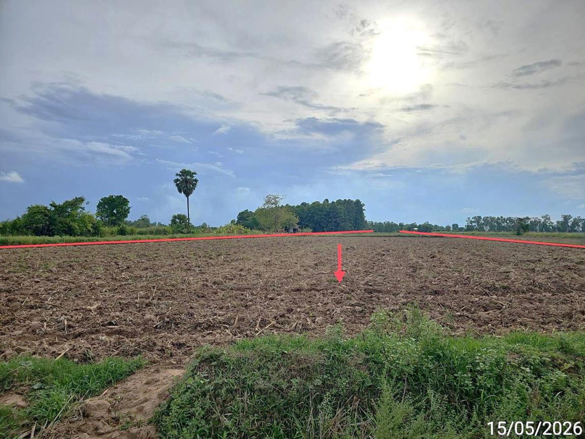 รูป ที่ดินว่างเปล่า 6305 ตร.วา บางกระทุ่ม พิษณุโลก 1.9M - รูปที่ 10/14