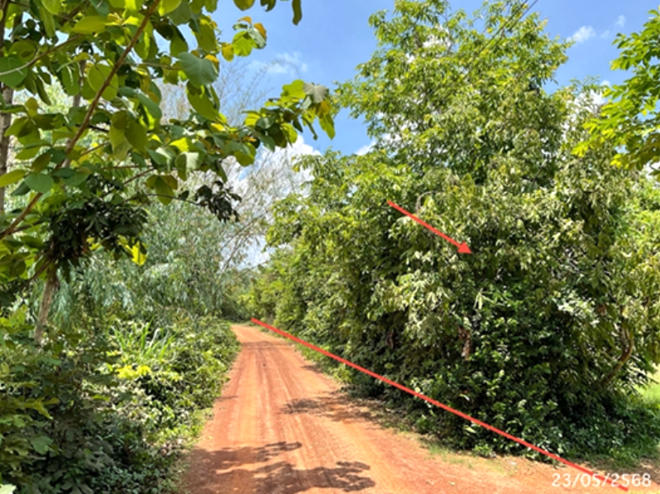 picture LAND 1002 Sq.w. Sawang Weerawong Ubon Ratchathani for 2M - 3/14