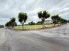 listing thumbnail image 21