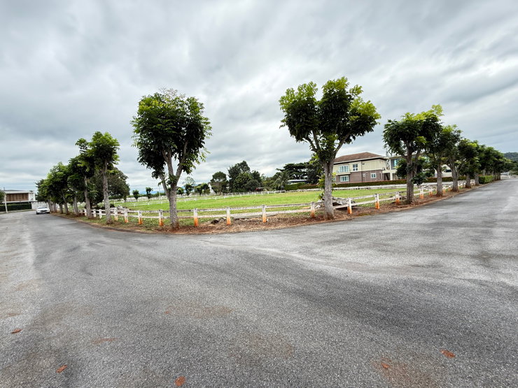 รูป ที่ดินหมูสี เขาใหญ่ สังคมหรู วิวเขา หลวงปู่ทวด ใกล้น้ำผุดท่าช้าง2km. - รูปที่ 22/22
