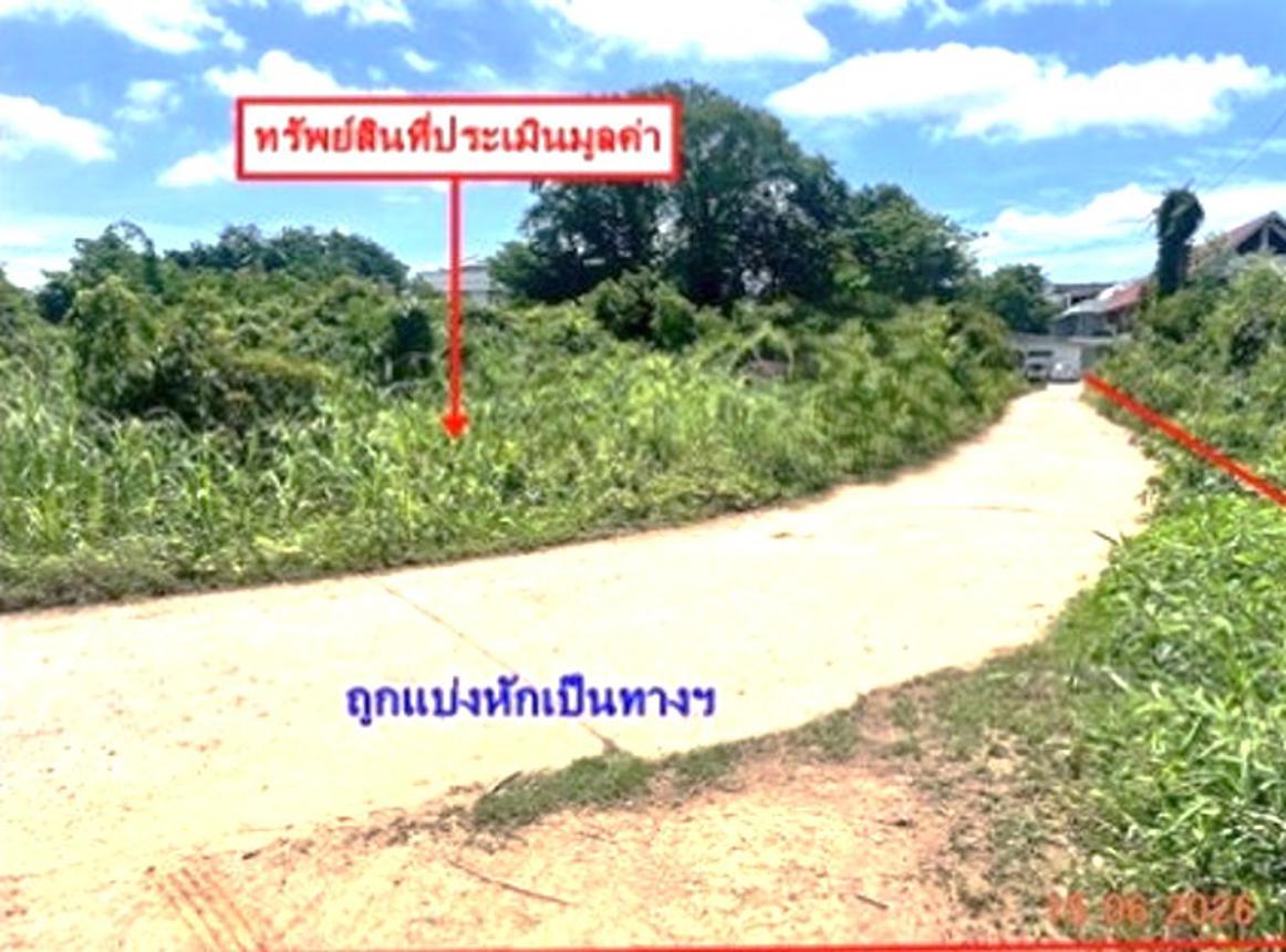 picture LAND 907 Sq.w. Bang Krathum Phitsanulok for 4.5M - 13/22