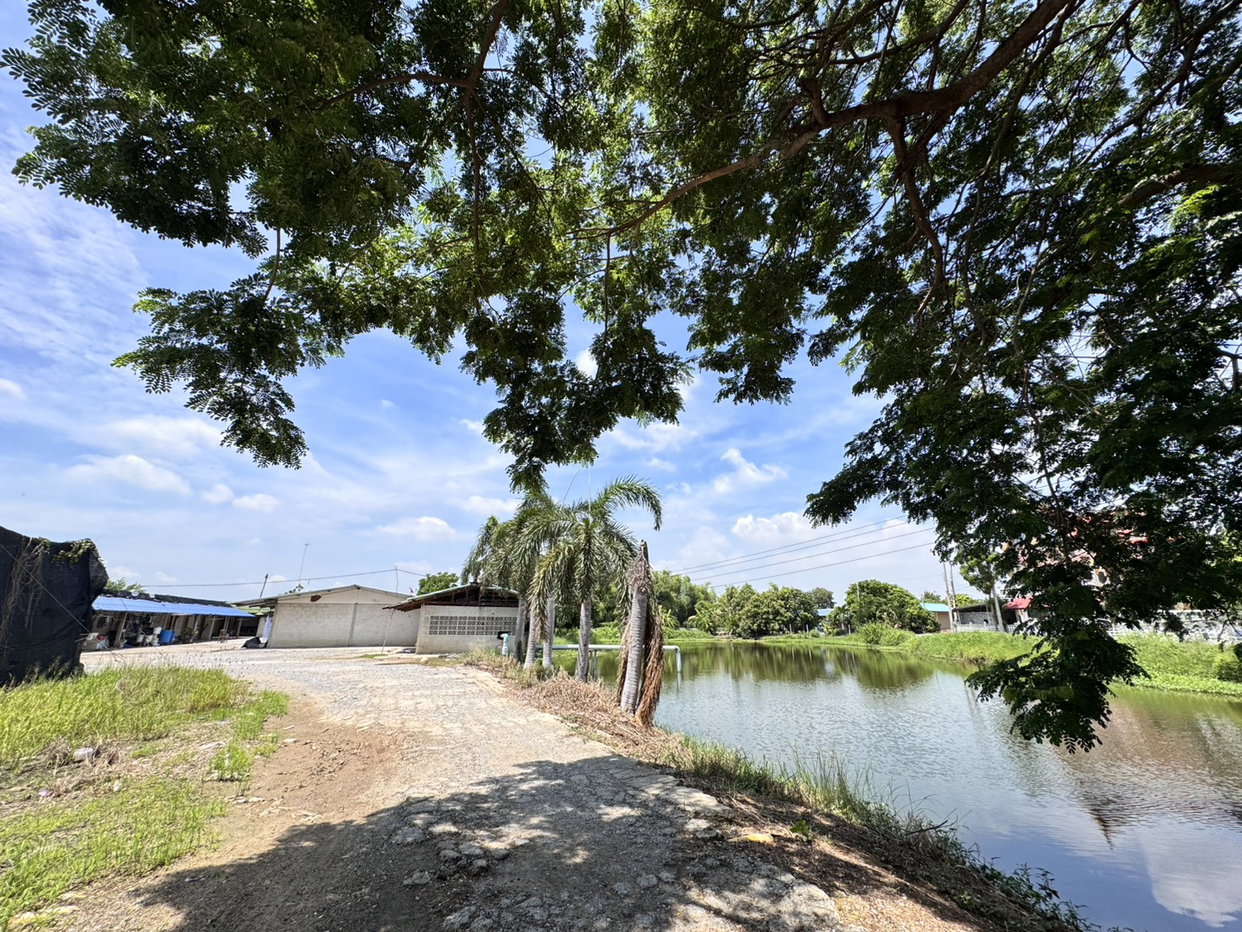 รูป ที่ดินพร้อมสิ่งปลูกสร้าง 13323 ตร.วา หมู่ที่ 9 อำเภอบางเลน จังหวัดนครปฐม 15.3M - รูปที่ 4/13