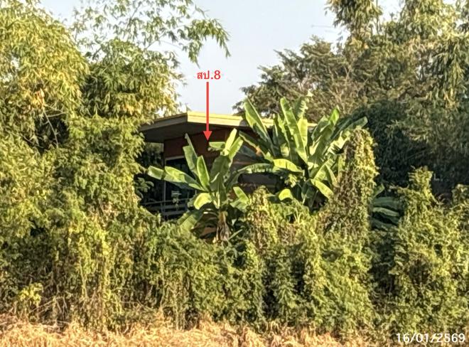 picture HOME 1200 Sq.w. Ban Mi Lopburi for 4.9M - 5/18