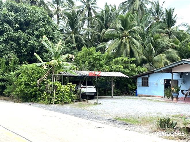 รูป บ้านเดี่ยว 320 ตร.วา ดอนสัก สุราษฎร์ธานี 1.5M - รูปที่ 3/16