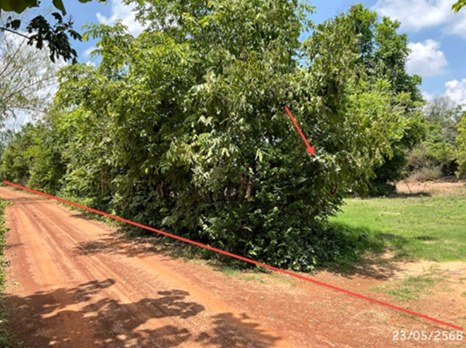 picture LAND 1002 Sq.w. Sawang Weerawong Ubon Ratchathani for 2M - 2/14