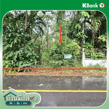 picture LAND 456 Sq.w. Sung Noen Nakhon Ratchasima for 4.1M - 12/14