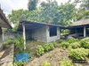 listing thumbnail image 37