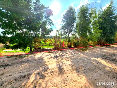 Land for sale Phayakkhaphum Phisai Maha Sarakham : LAND 2647 Sq.w. Phayakkhaphum Phisai Maha Sarakham for 929,000