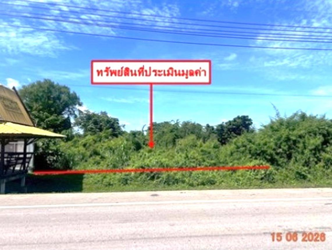 picture LAND 907 Sq.w. Bang Krathum Phitsanulok for 4.5M - 11/22