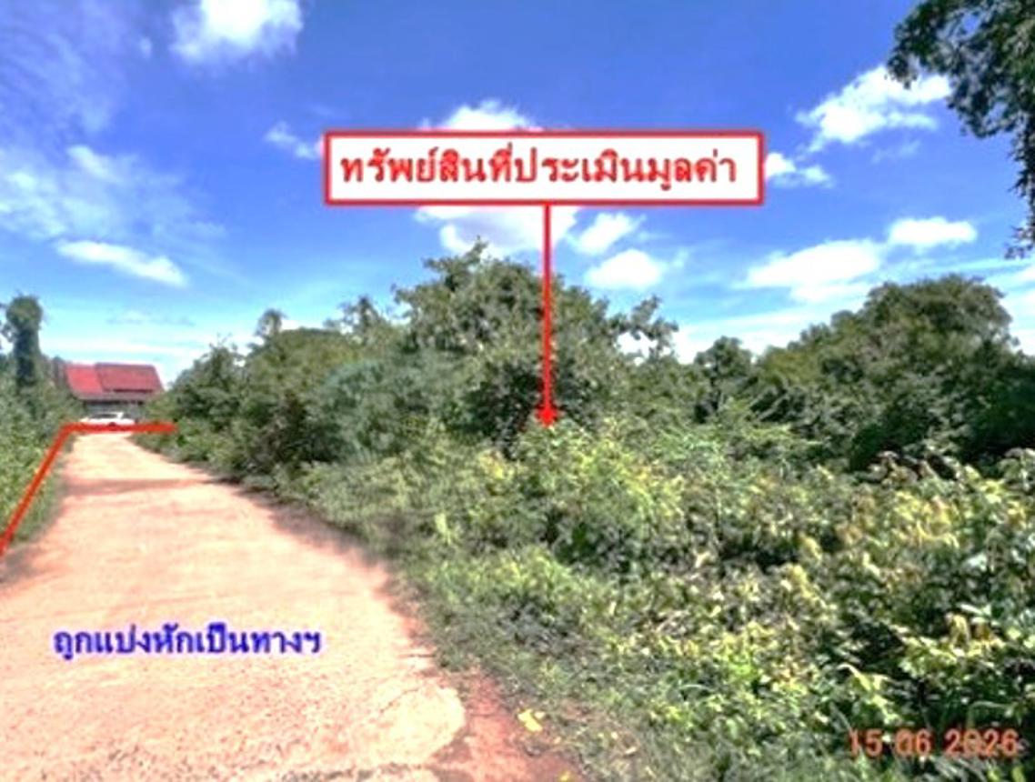 picture LAND 907 Sq.w. Bang Krathum Phitsanulok for 4.5M - 14/22