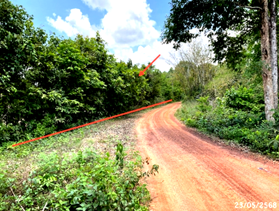 Land for sale Sawang Weerawong Ubon Ratchathani : LAND 1002 Sq.w. Sawang Weerawong Ubon Ratchathani for 2M
