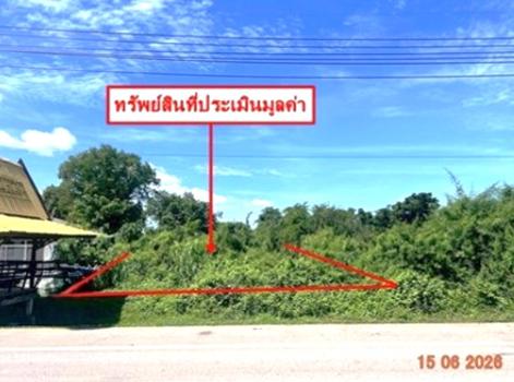 picture LAND 907 Sq.w. Bang Krathum Phitsanulok for 4.5M - 19/22