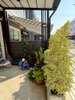 listing thumbnail image 10