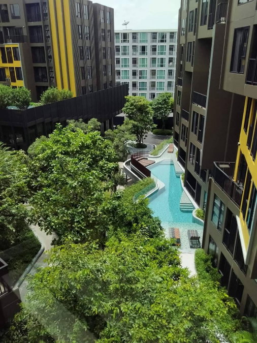 ForSell Thebase central phuket - image 4