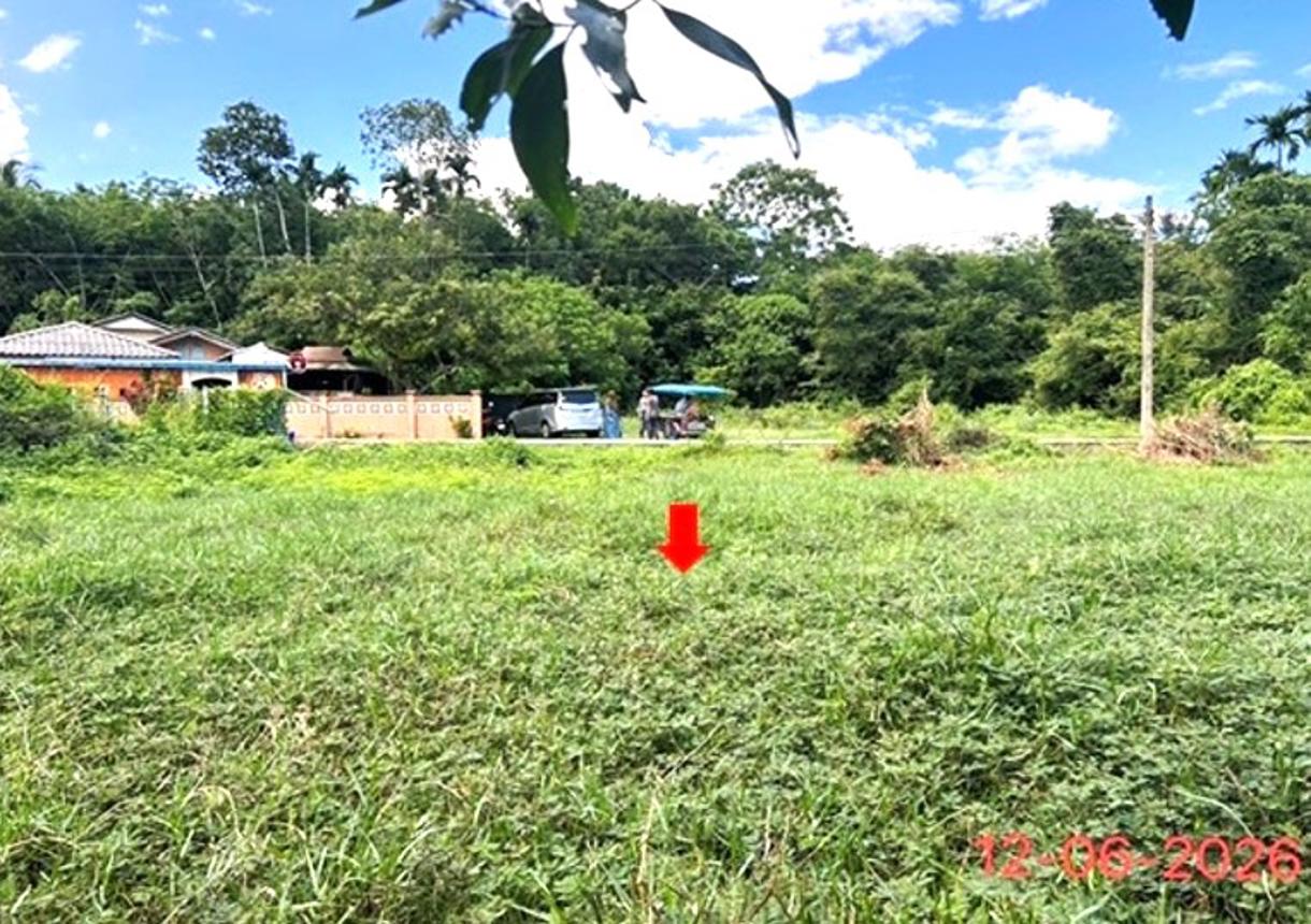 picture LAND 231 Sq.w. Ruso Narathiwat for 3.7M - 20/24