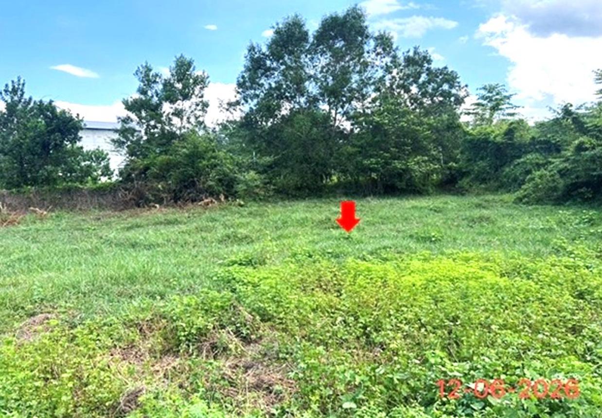 picture LAND 231 Sq.w. Ruso Narathiwat for 3.7M - 16/24