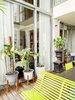 listing thumbnail image 17